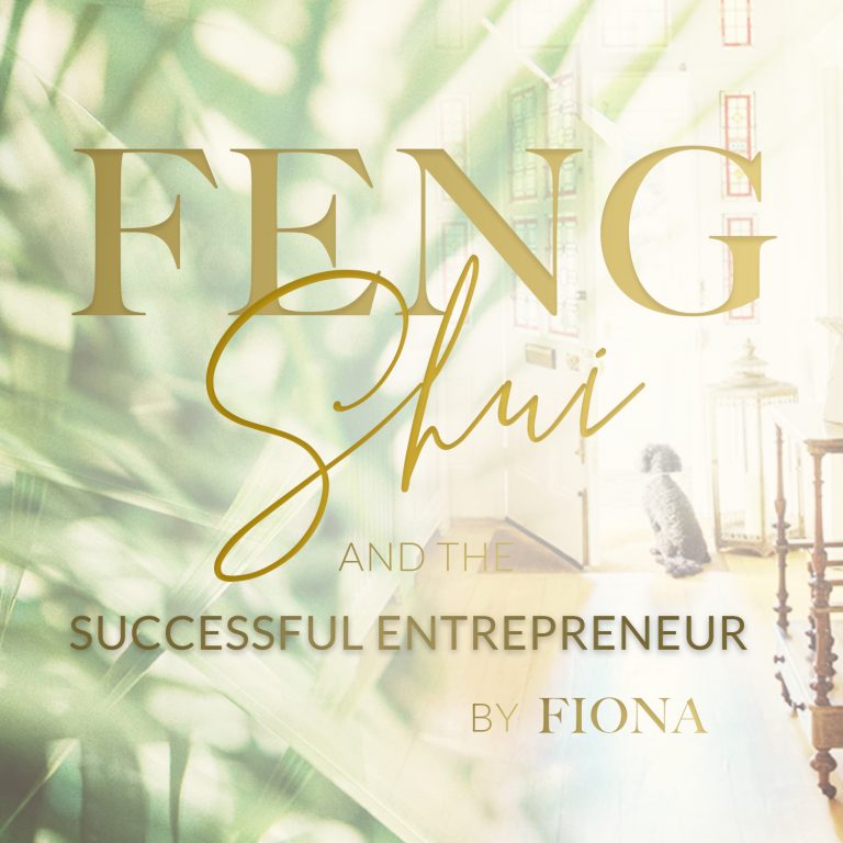Feng Shui & the Successful Entrepreneur Shop